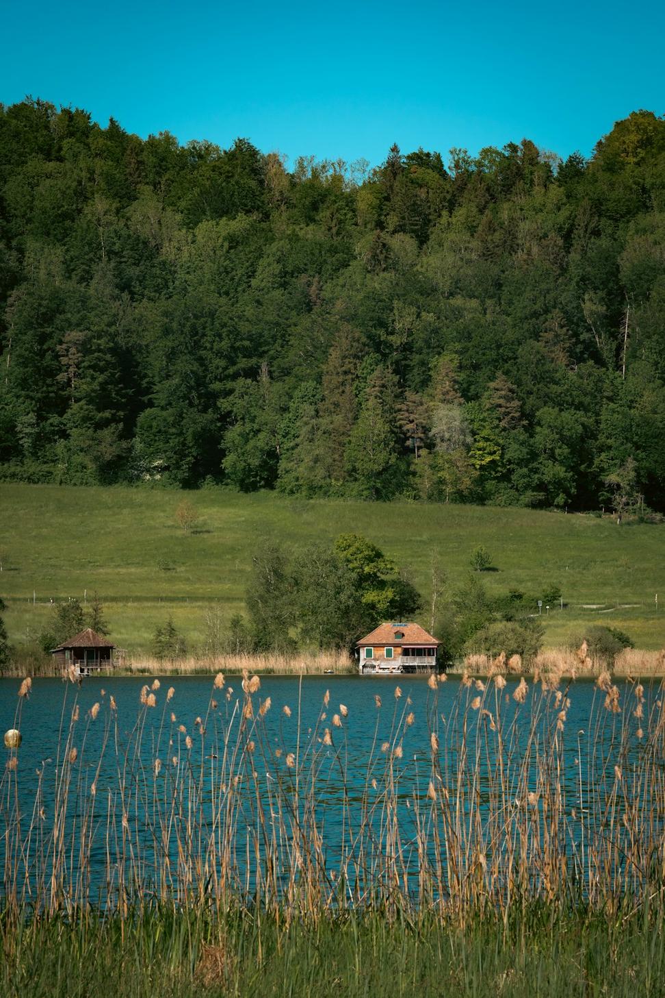 Lakeshore Residence